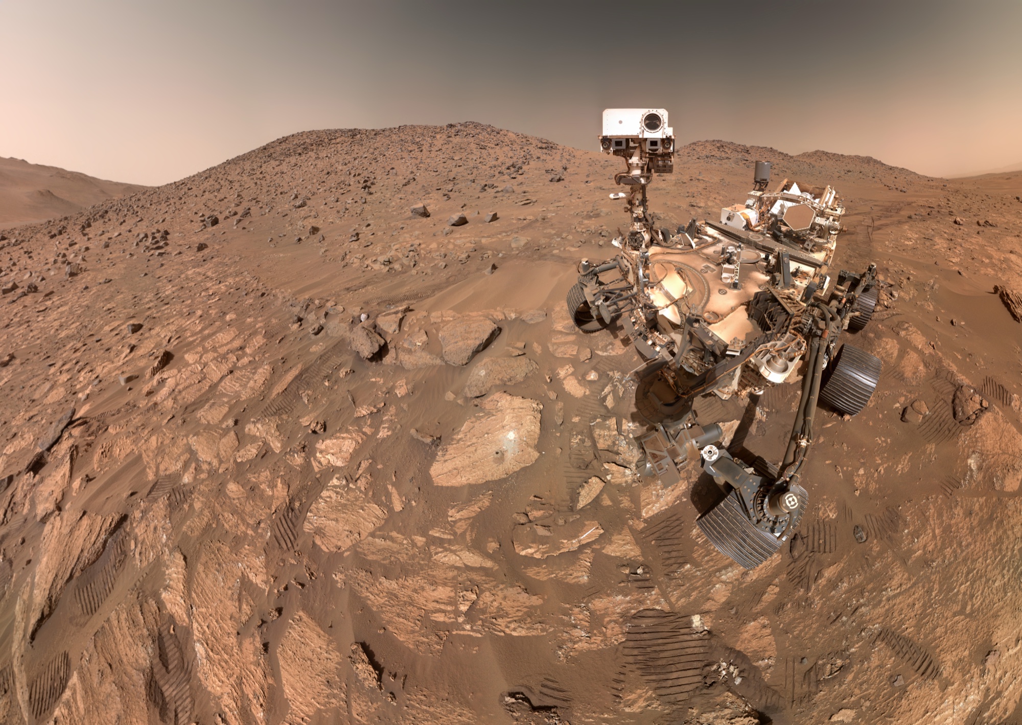 Förhandsbild av Perseverance · Spår av liv på Mars?